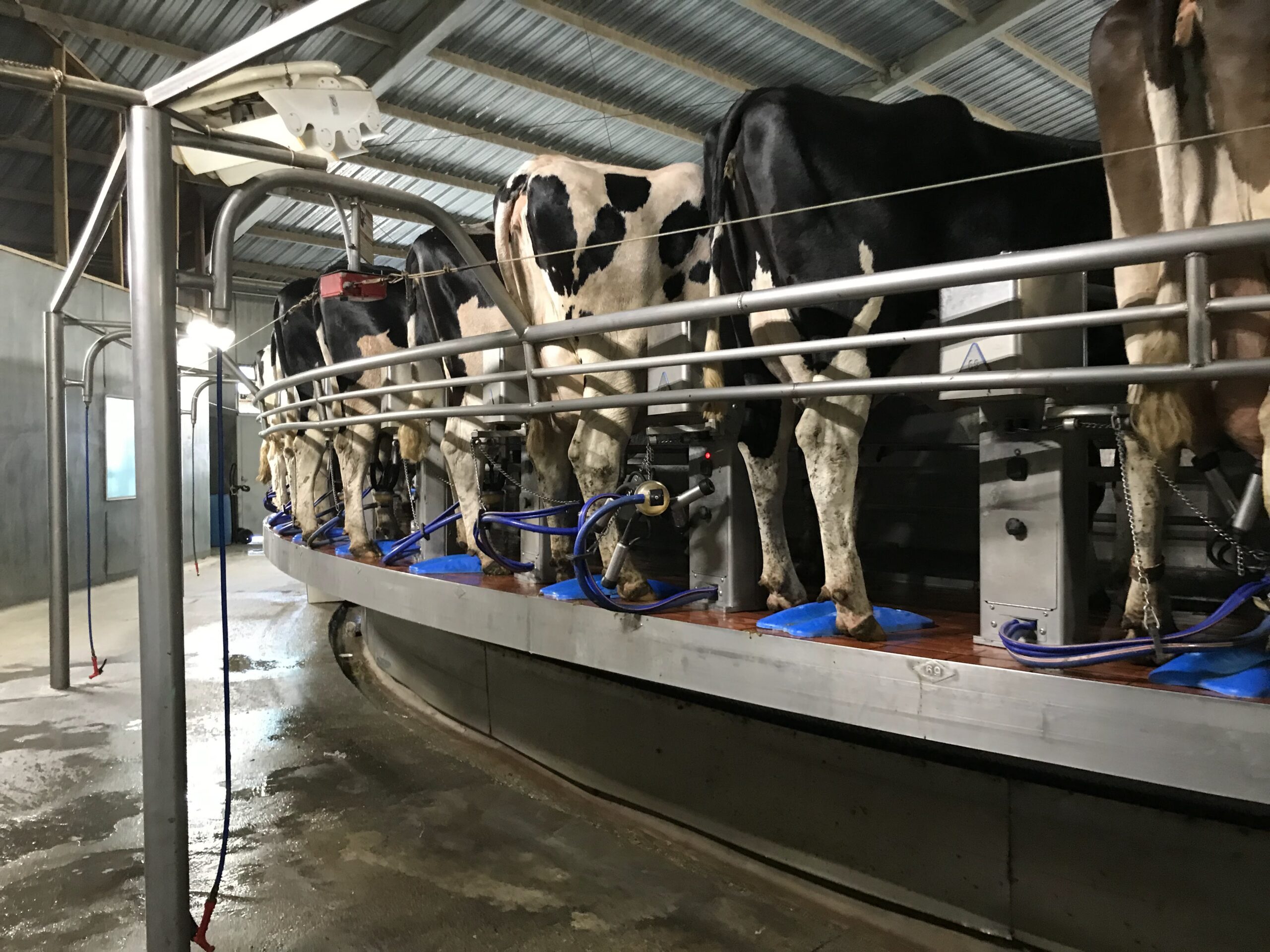 Methane Capture from Dairy